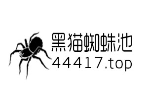 什么是网站推广